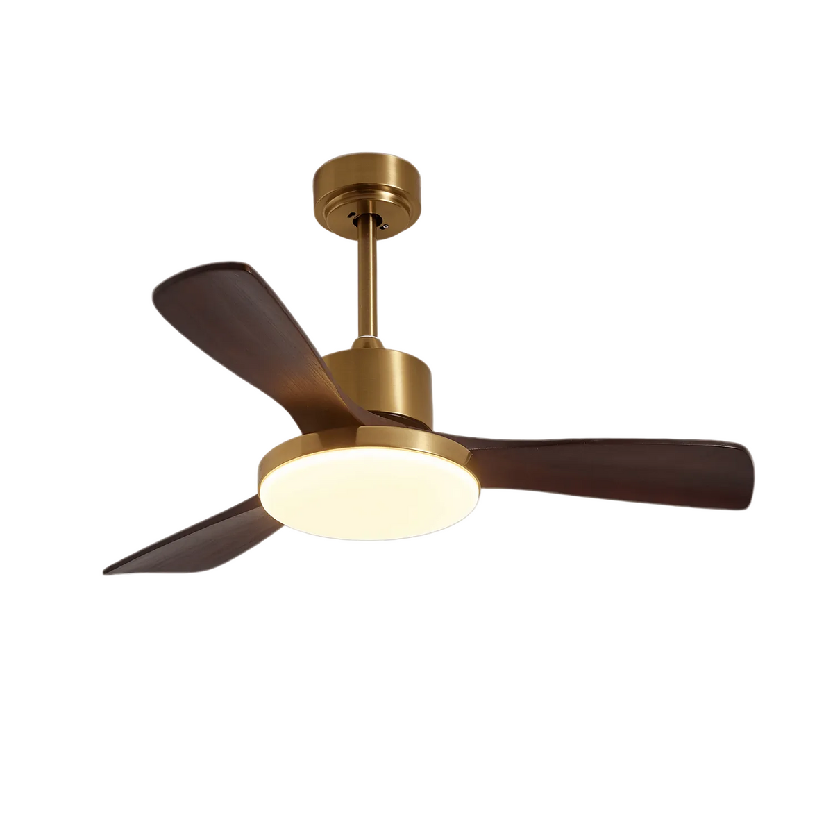 Ventilador de techo Moraela