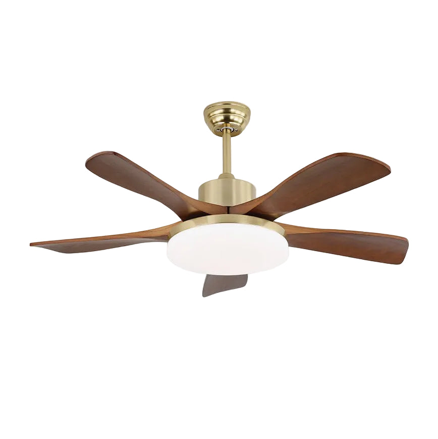 Ventilador de techo Anaolo