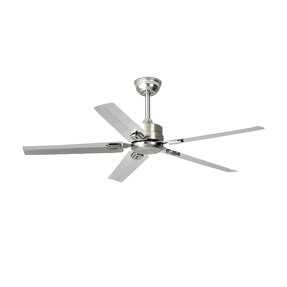 Ventilador de techo Dunailo