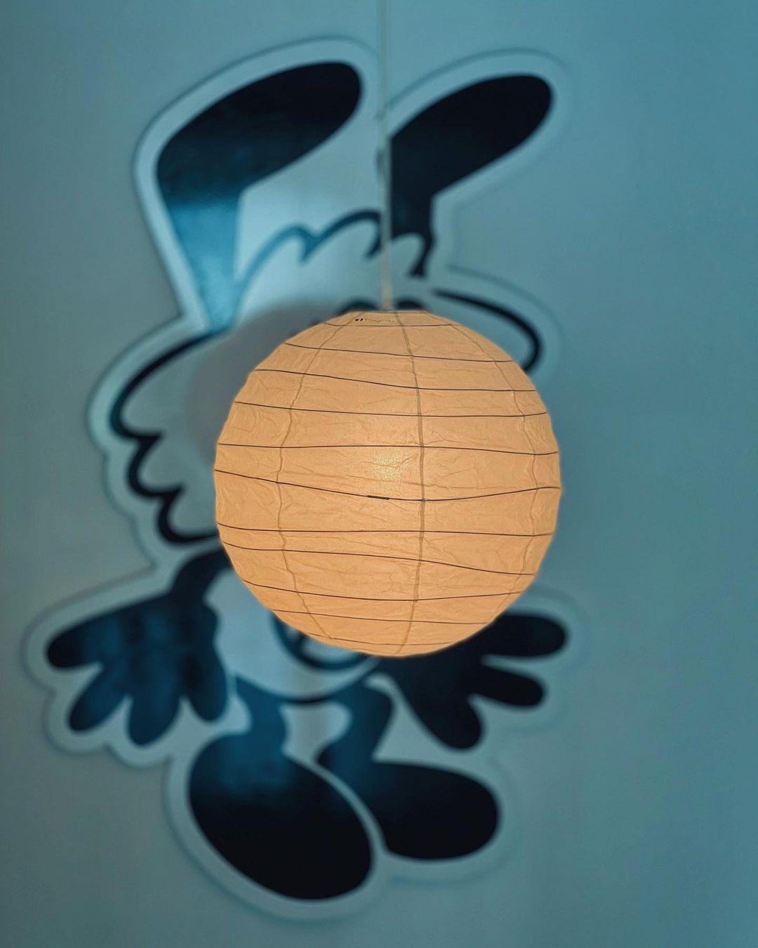 Lámpara colgante globo Florara