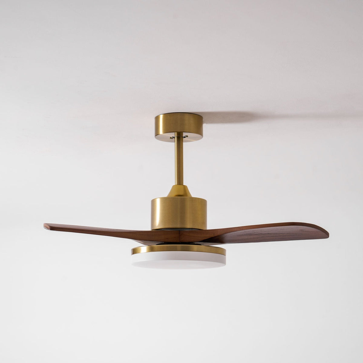 Ventilador de techo Moraela
