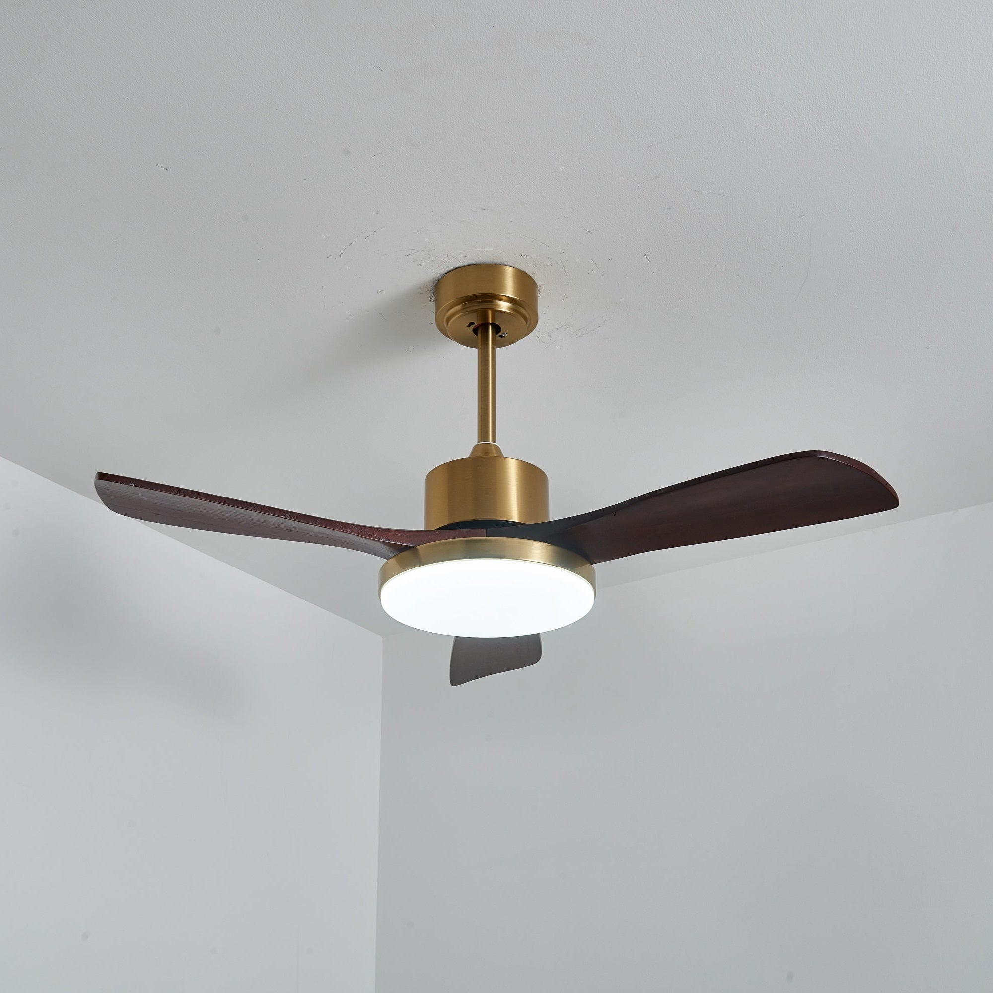 Ventilador de techo Cruzel