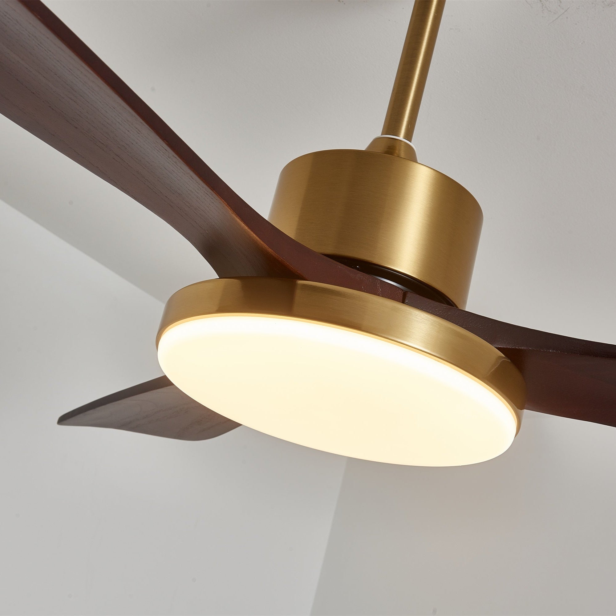 Ventilador de techo Cruzel
