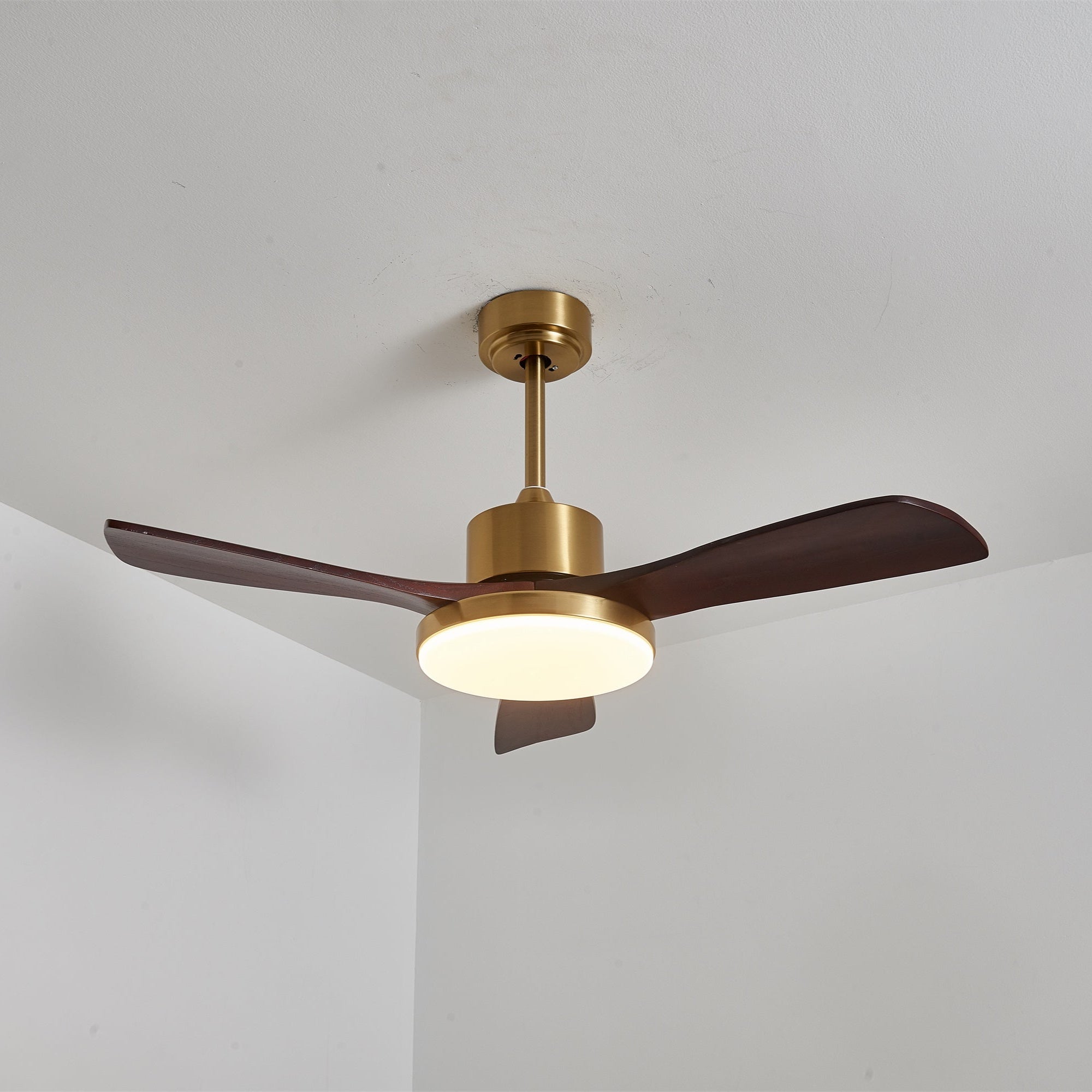 Ventilador de techo Cruzel