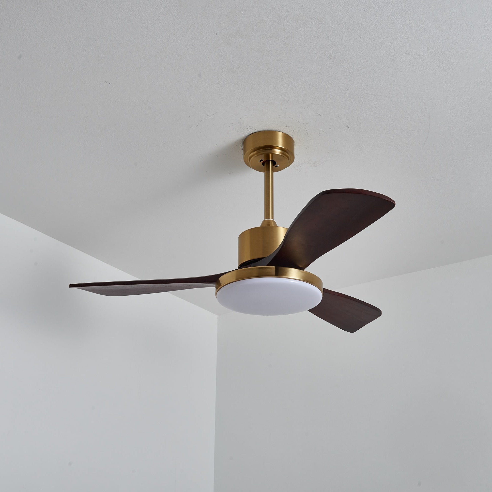 Ventilador de techo Cruzel