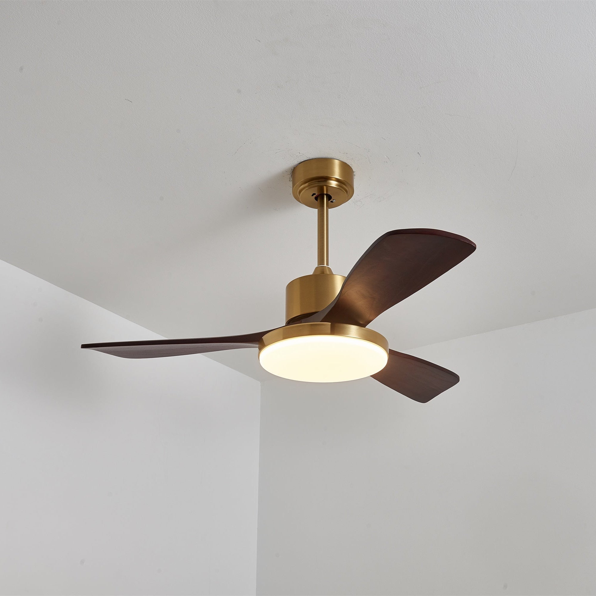 Ventilador de techo Cruzel