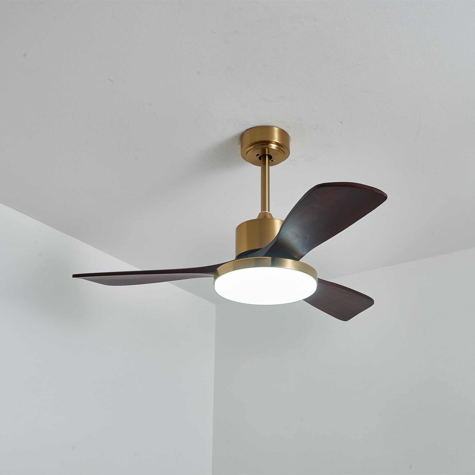 Ventilador de techo Cruzel