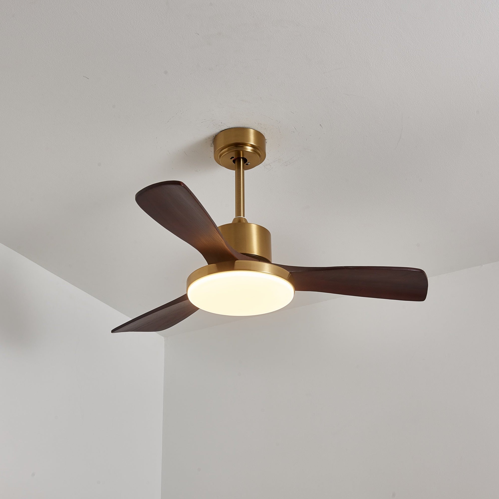 Ventilador de techo Cruzel