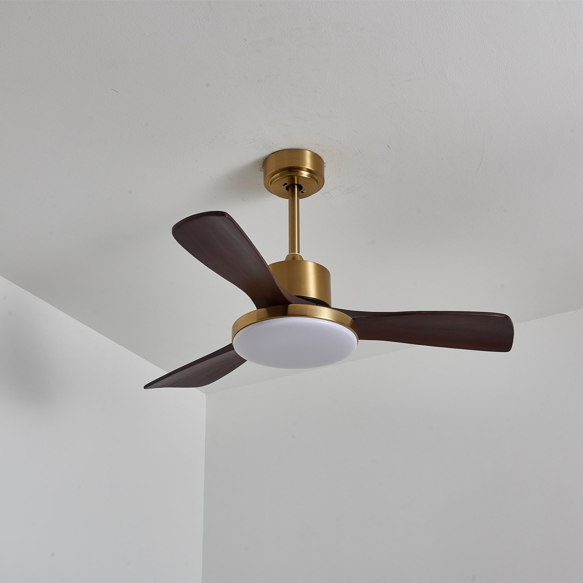 Ventilador de techo Cruzel