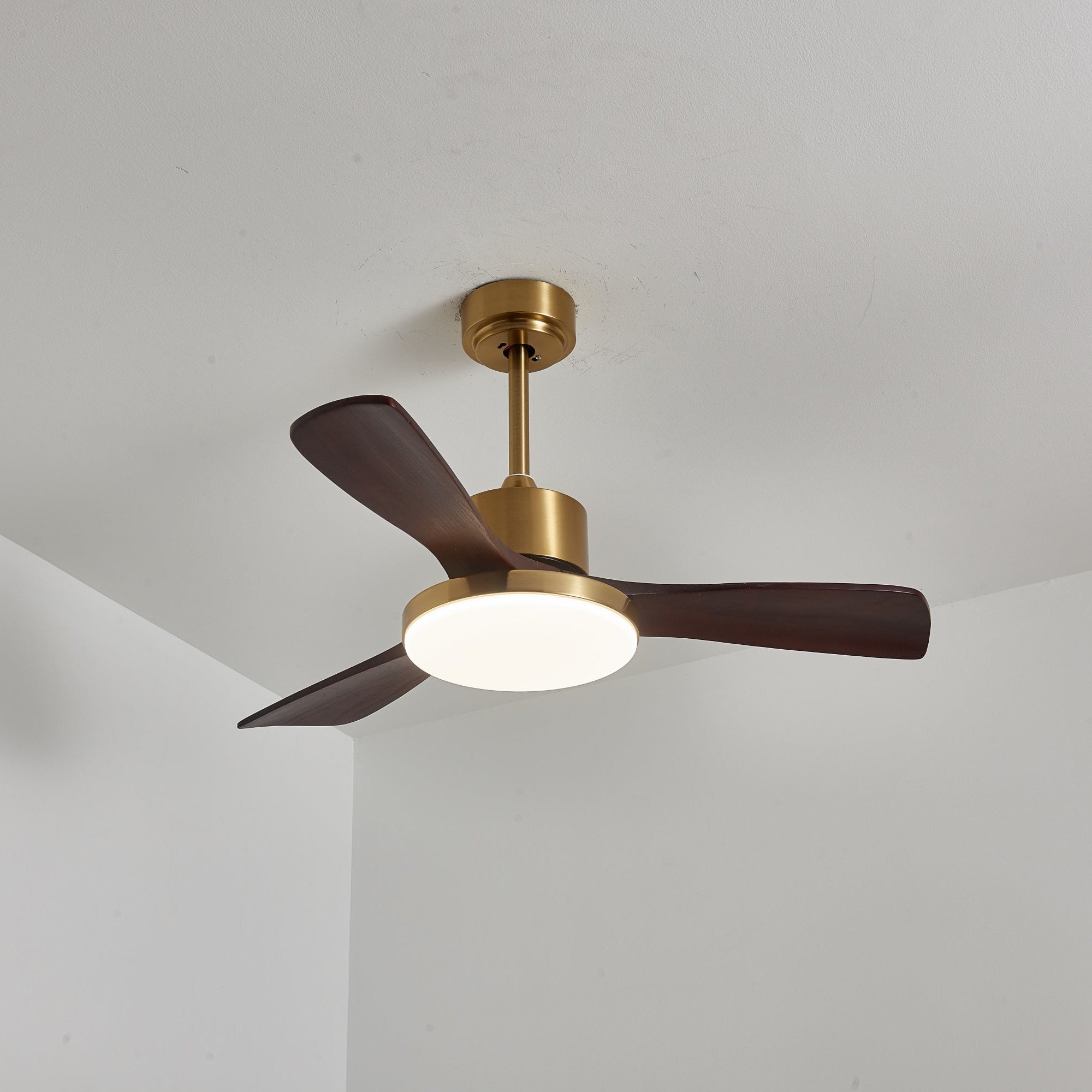 Ventilador de techo Cruzel