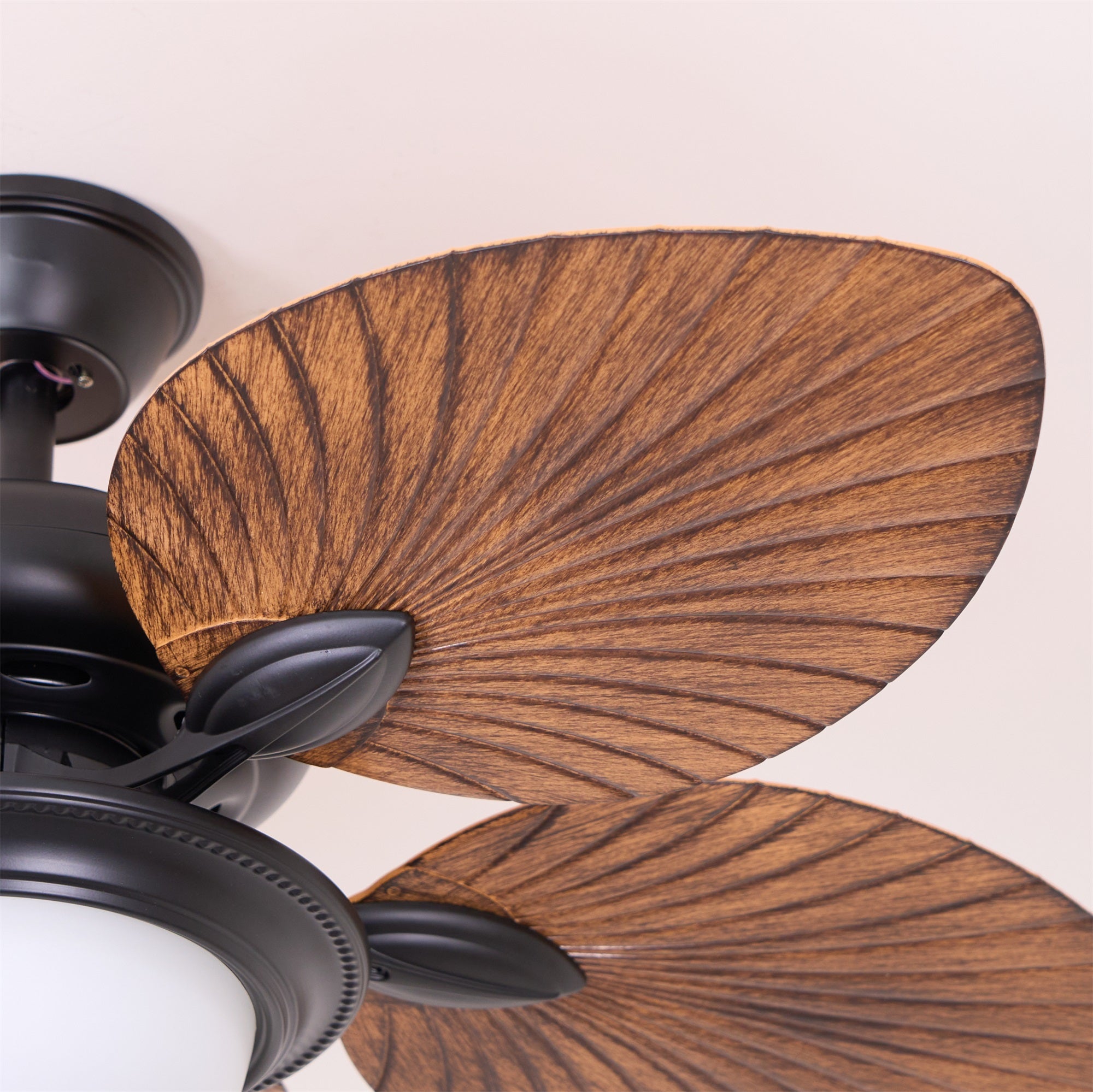 Lámpara con ventilador de techo Soriella
