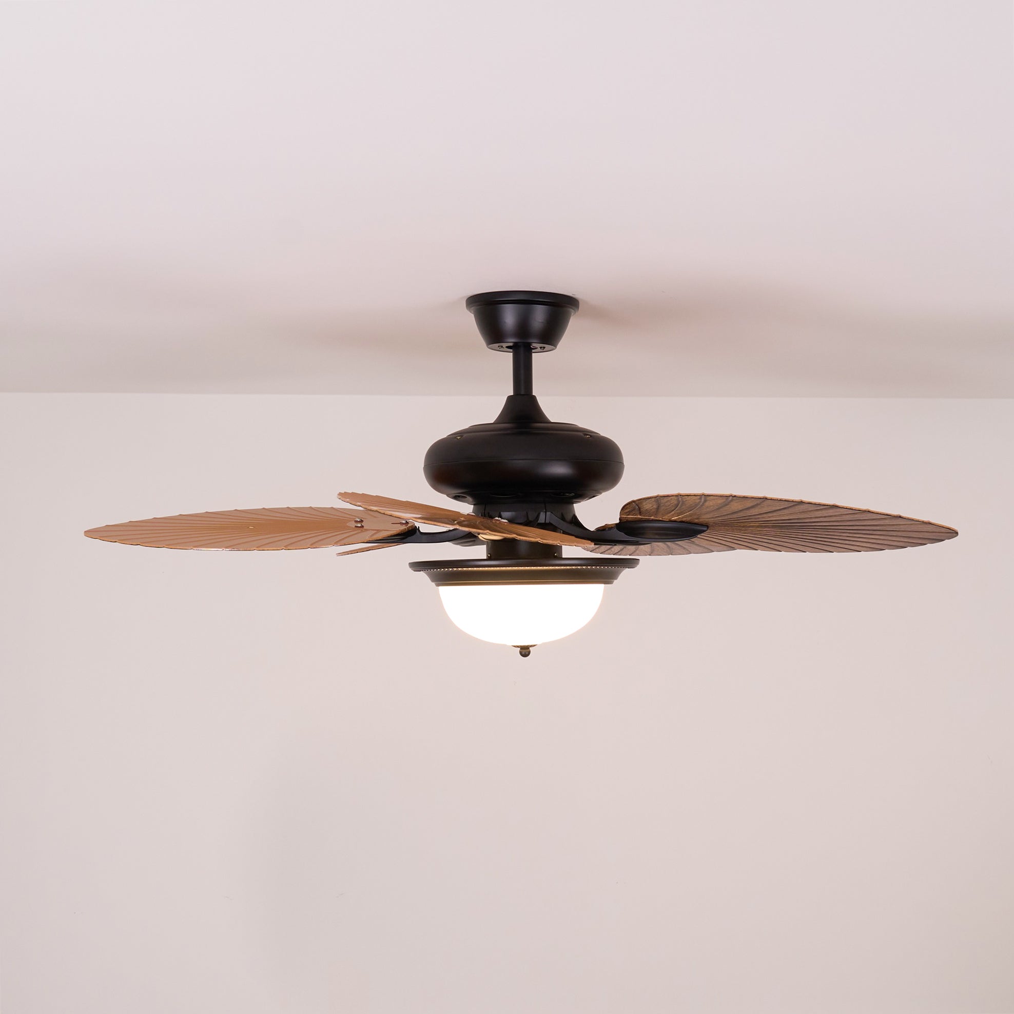 Lámpara con ventilador de techo Soriella