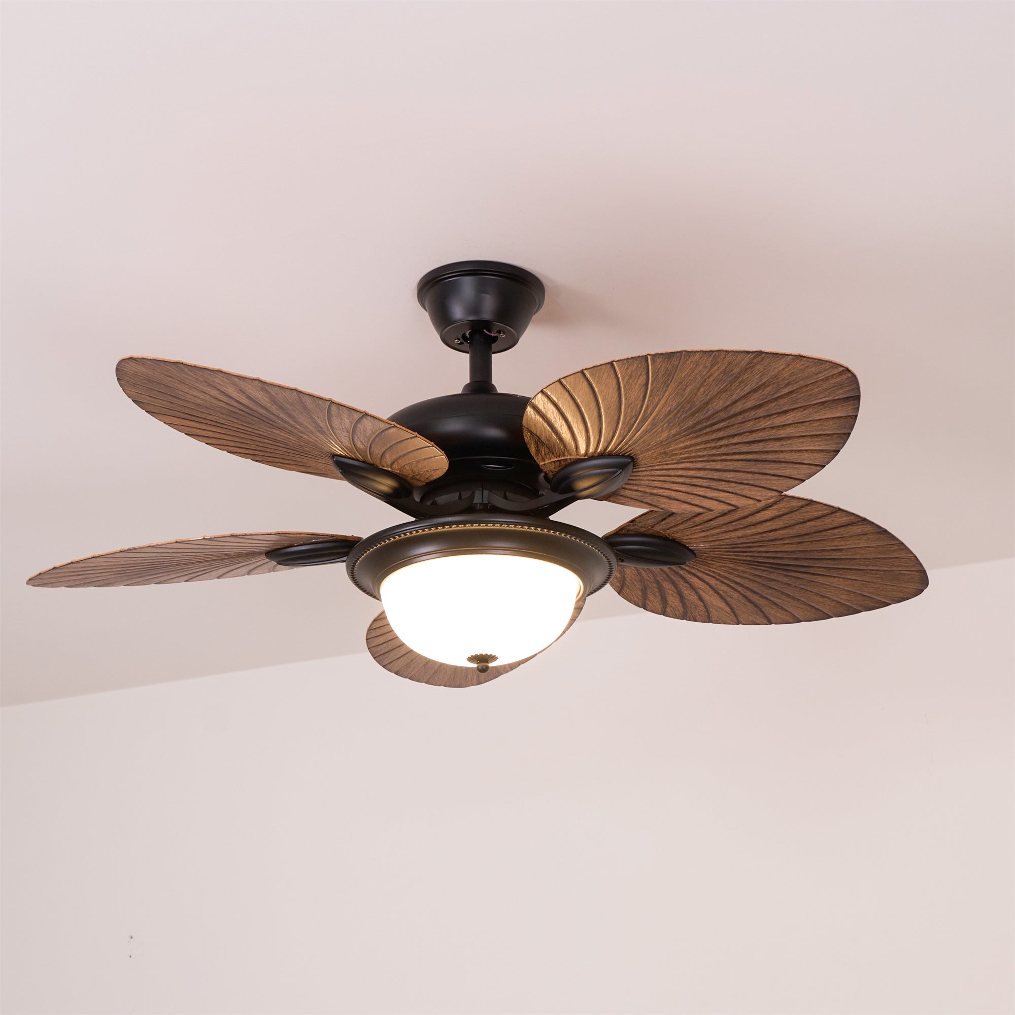 Lámpara con ventilador de techo Soriella