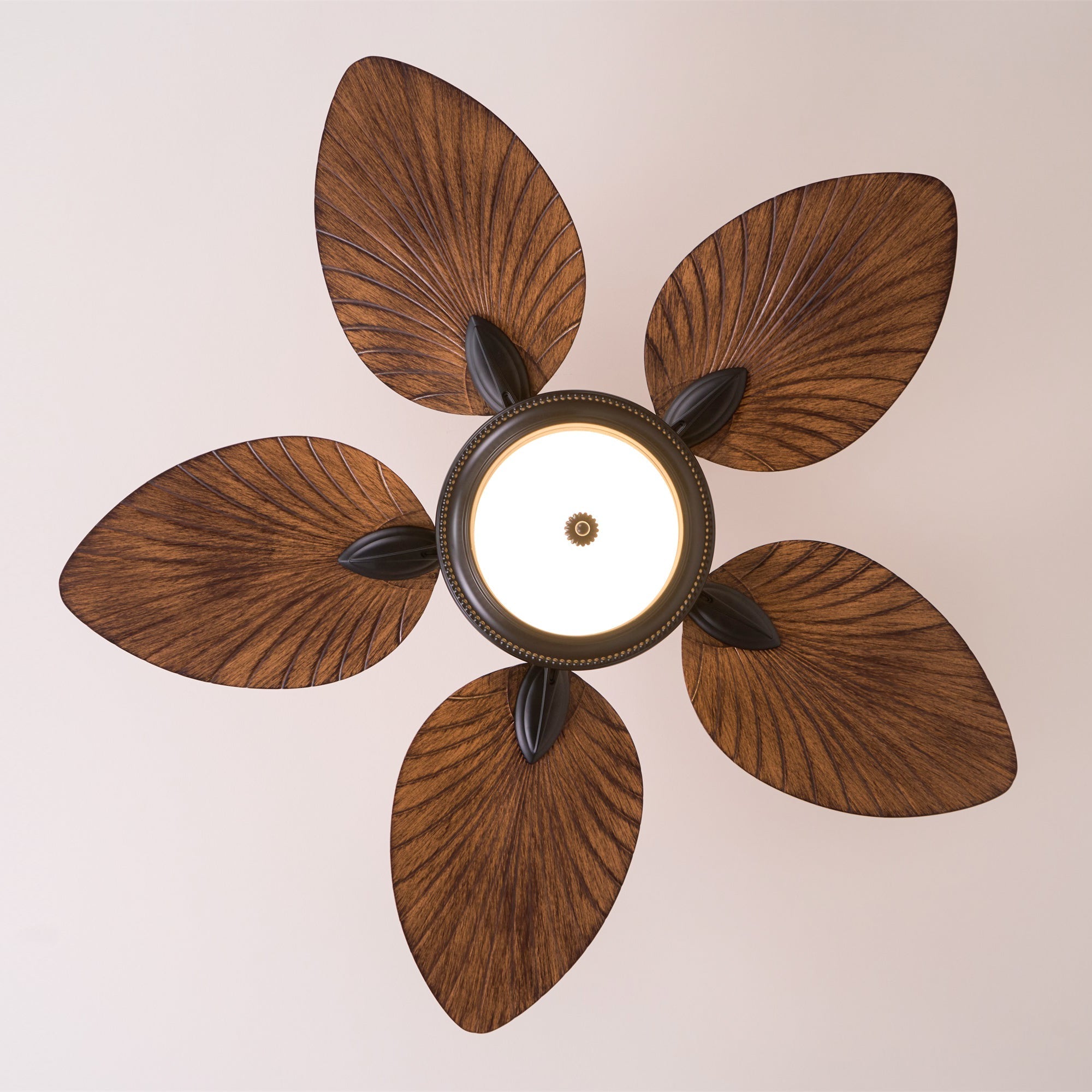 Lámpara con ventilador de techo Soriella