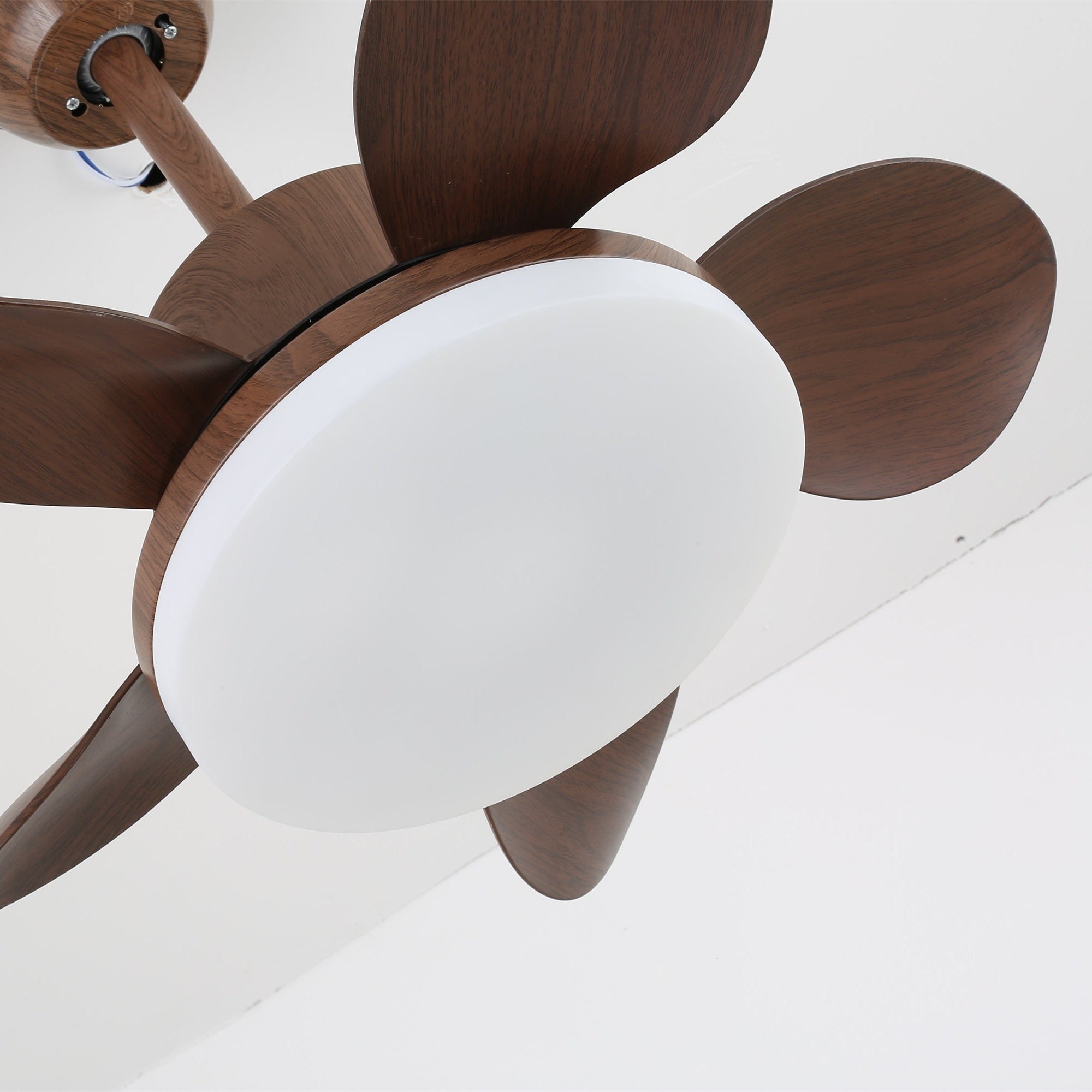 Ventilador de techo Aroaz