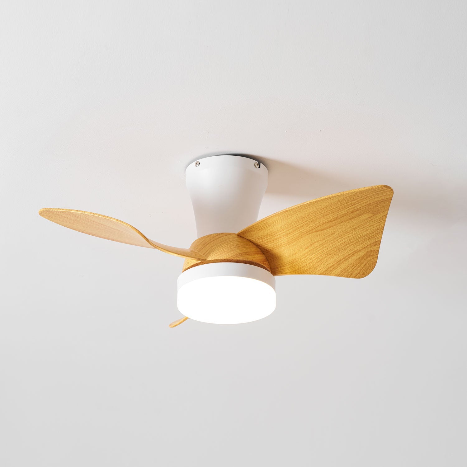 Ventilador de techo Laraina