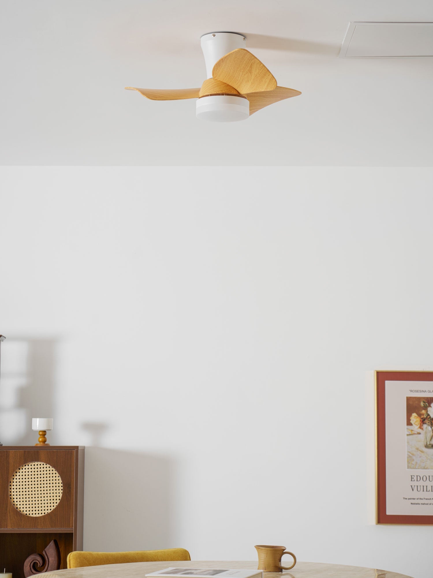 Ventilador de techo Laraina