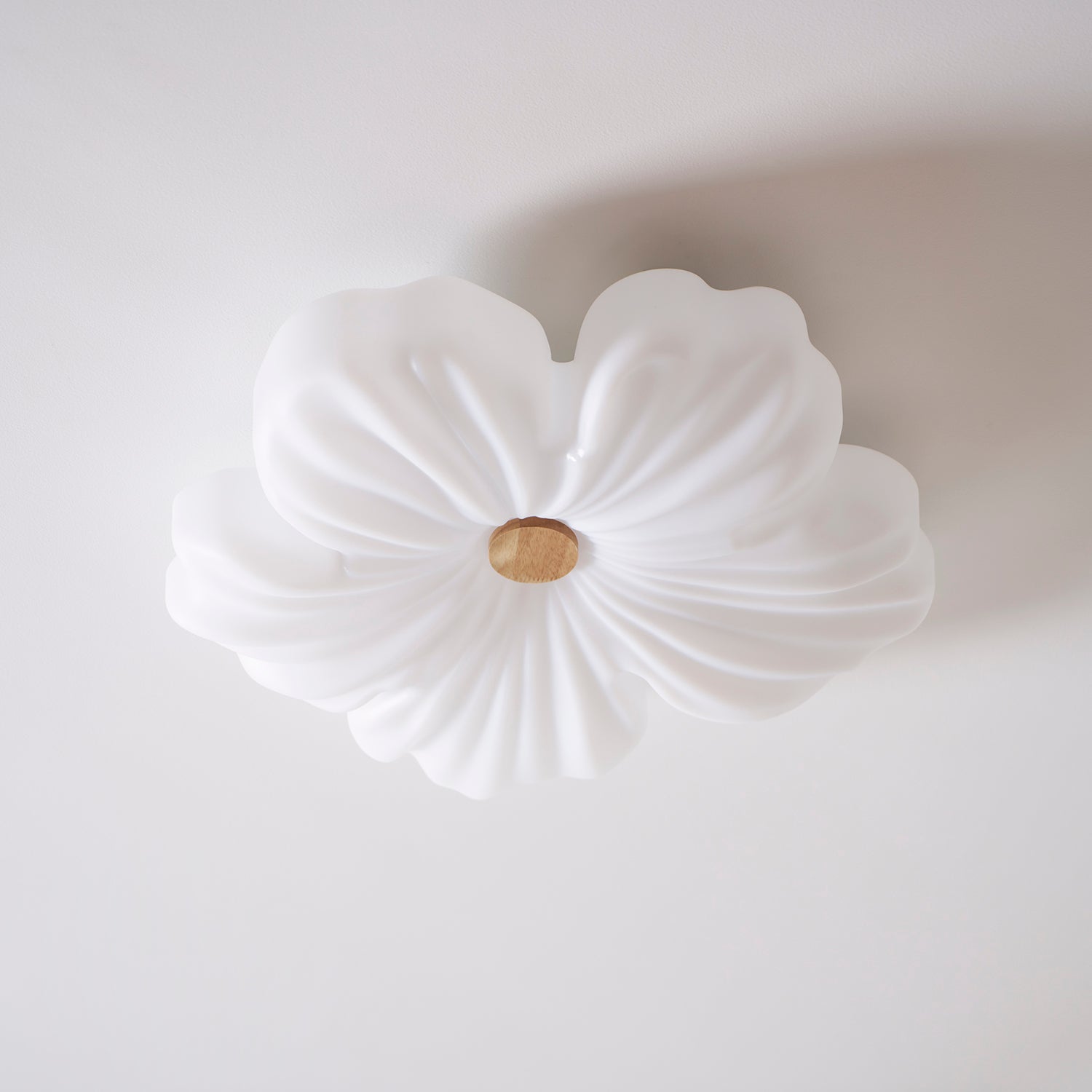 Plafón floral Araara