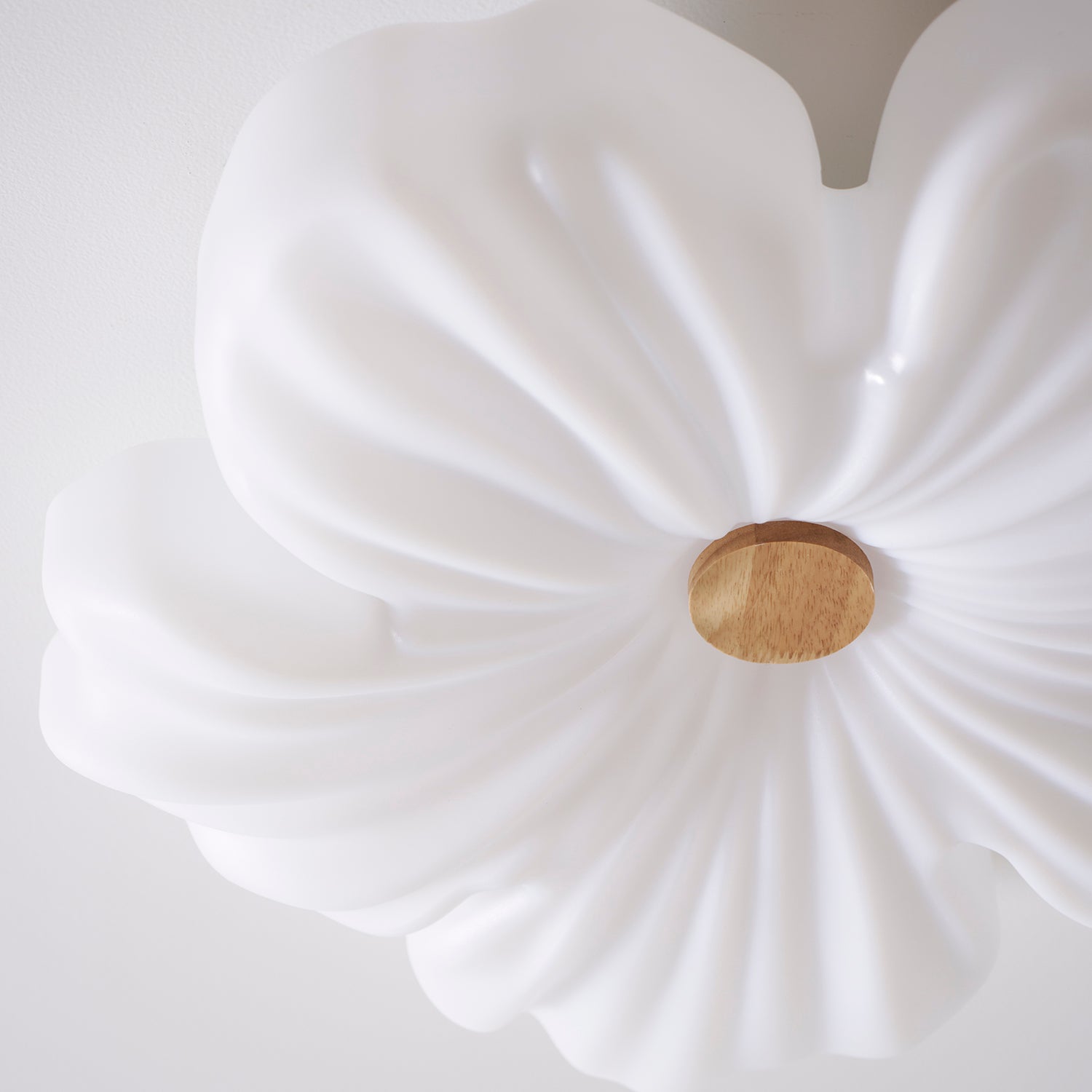 Plafón floral Araara