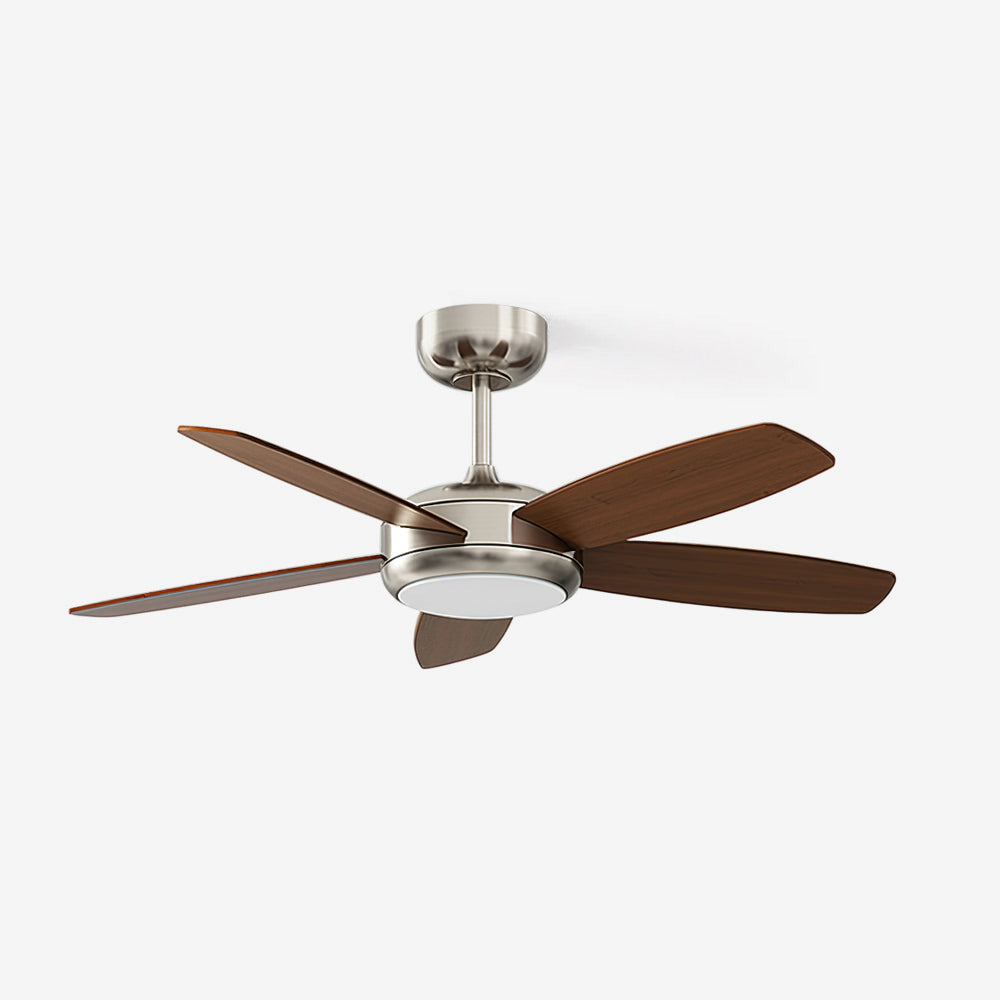 Destin Ceiling Fan Light