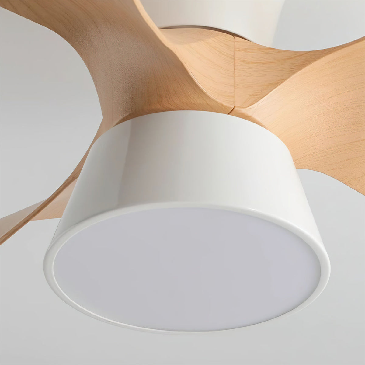 Fetcoi Ceiling Fan Light – detail 5