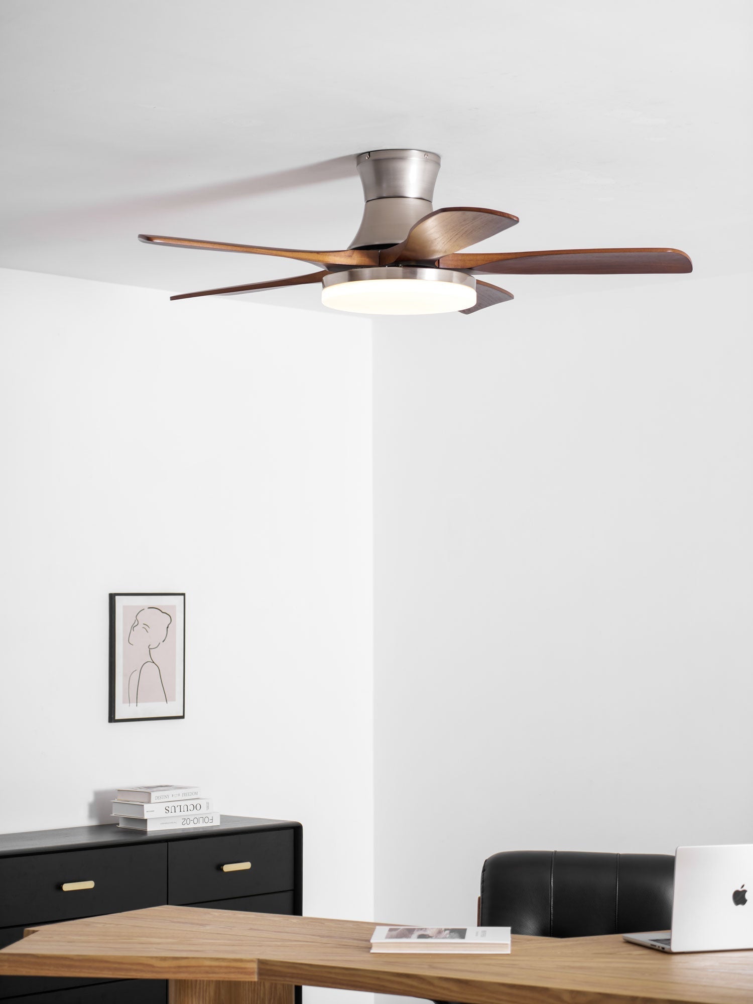 Ventilador de techo Olsoio