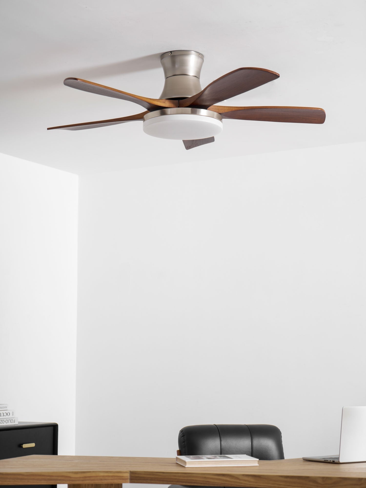 Ventilador de techo Olsoio