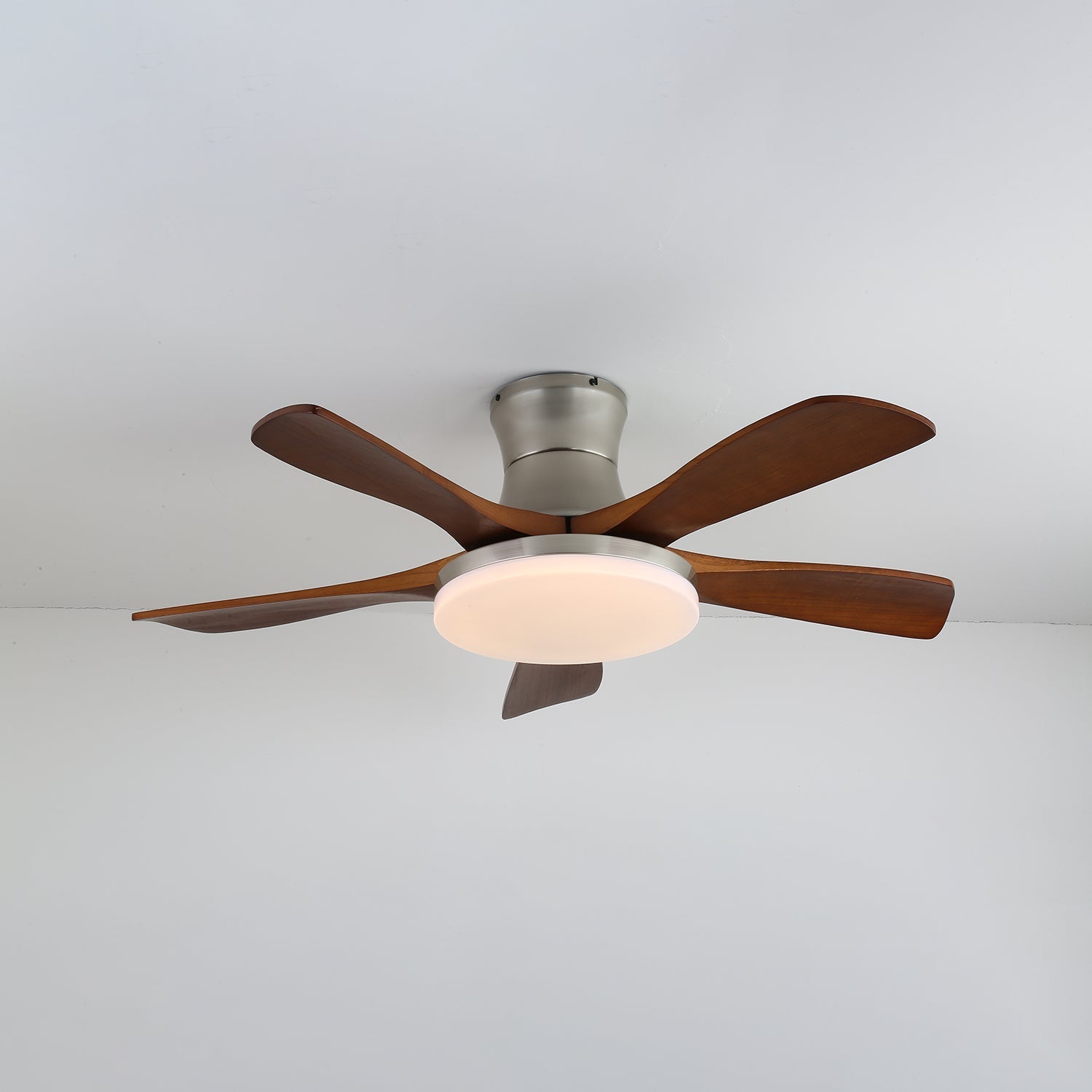 Ventilador de techo Olsoio