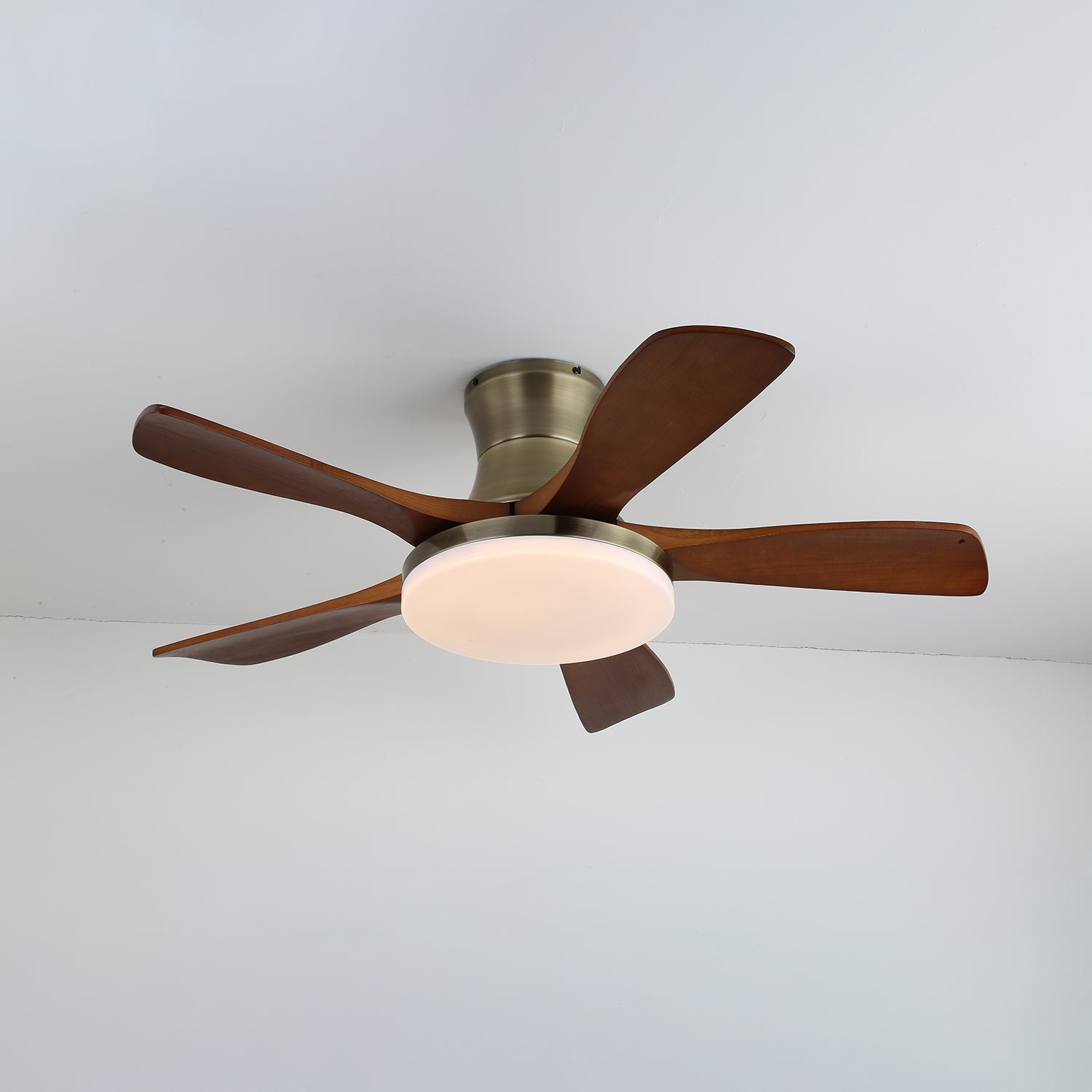 Ventilador de techo Olsoio