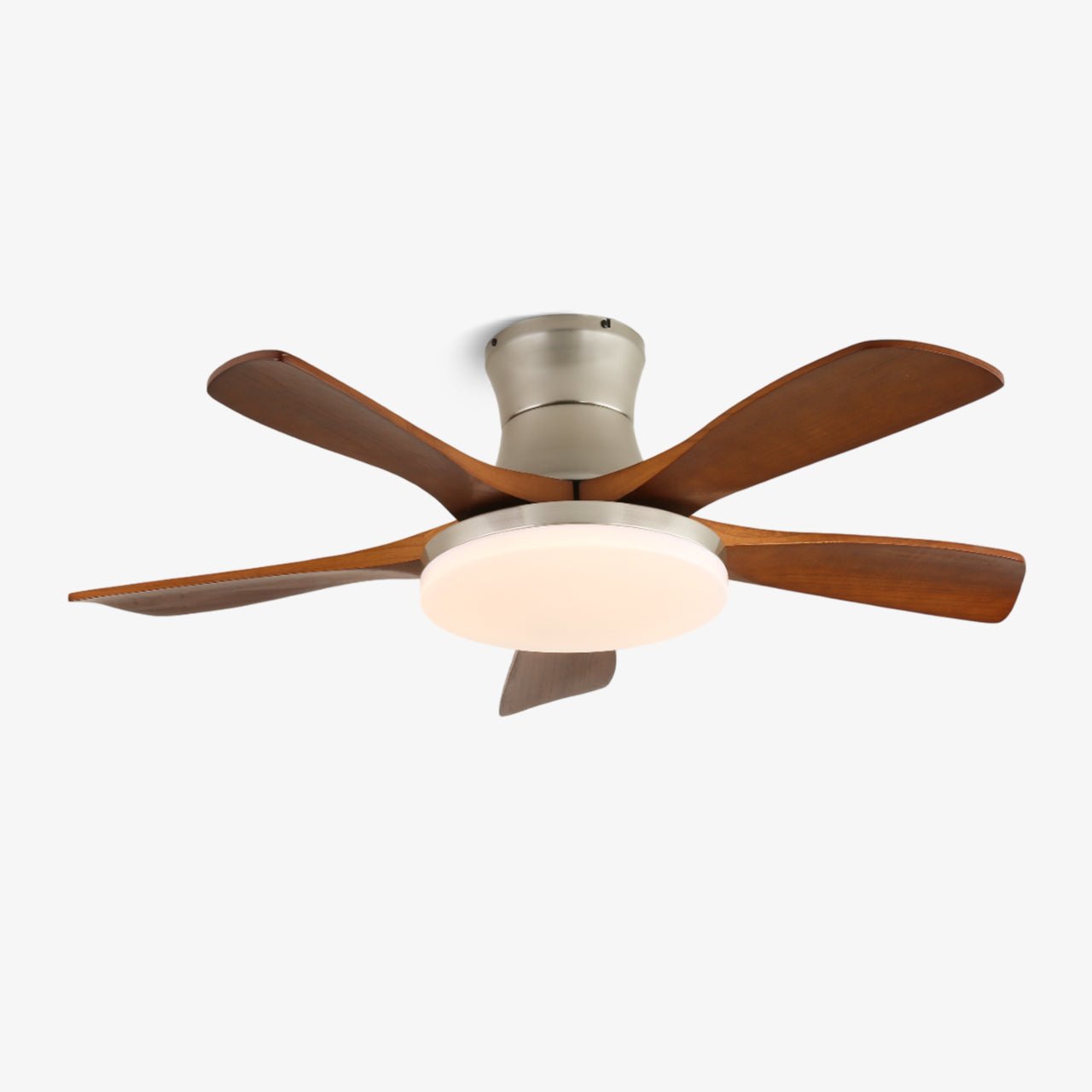 Ventilador de techo Olsoio