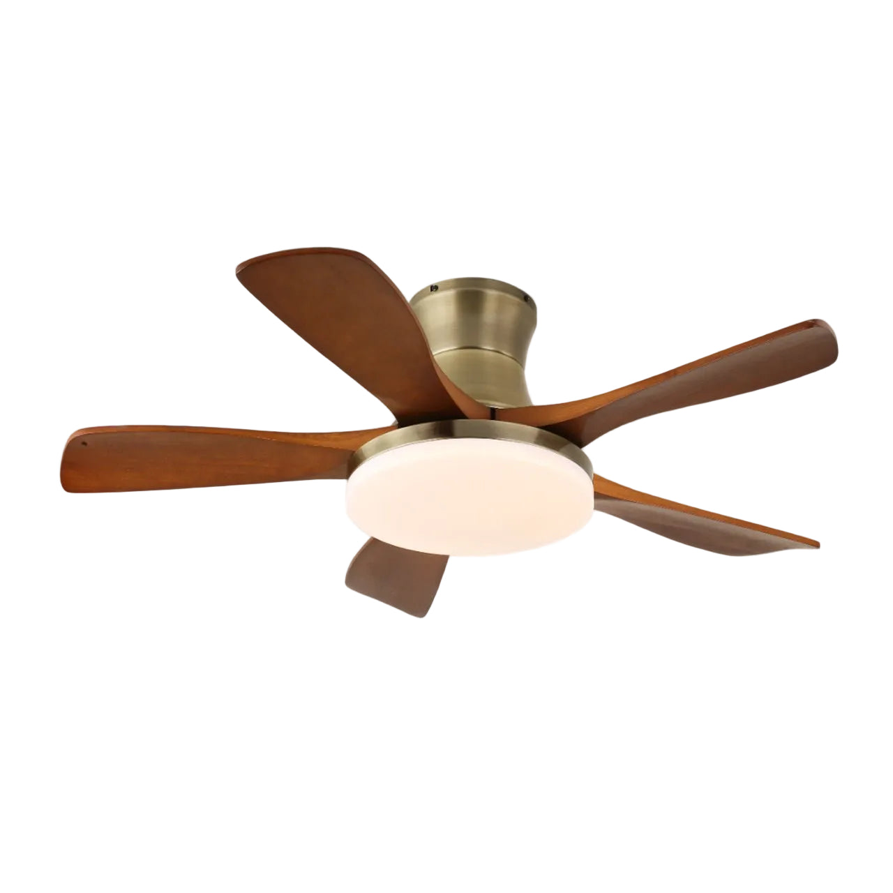 Ventilador de techo Olsoio