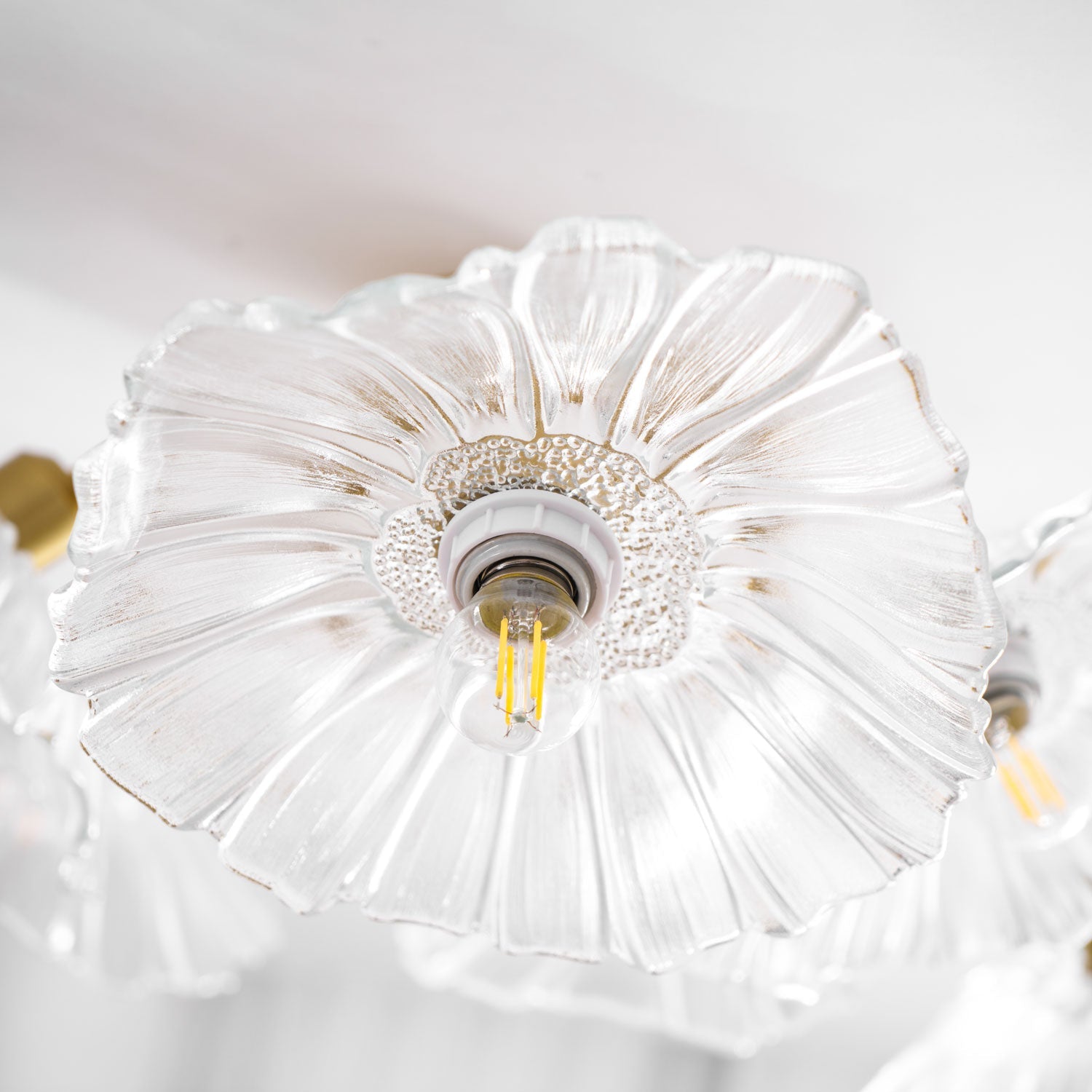 Plafón de hojas Coraluno