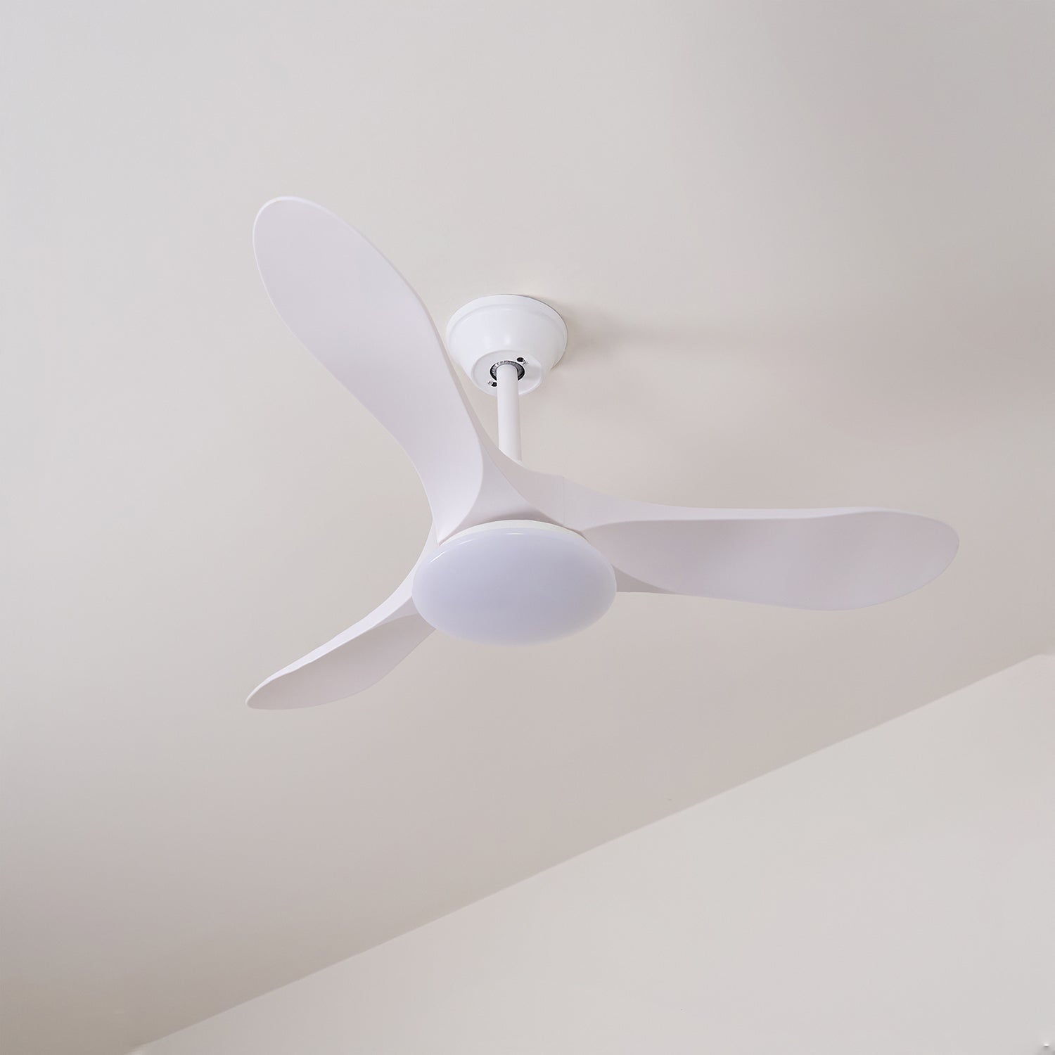 Ventilador de techo Nacarea