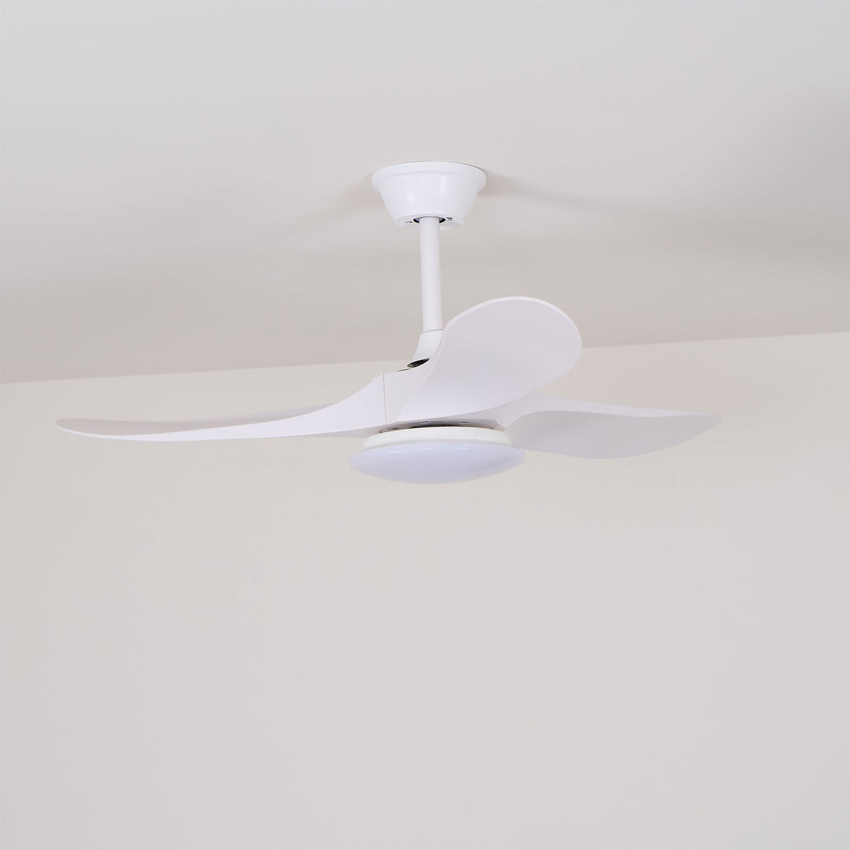 Ventilador de techo Laraena