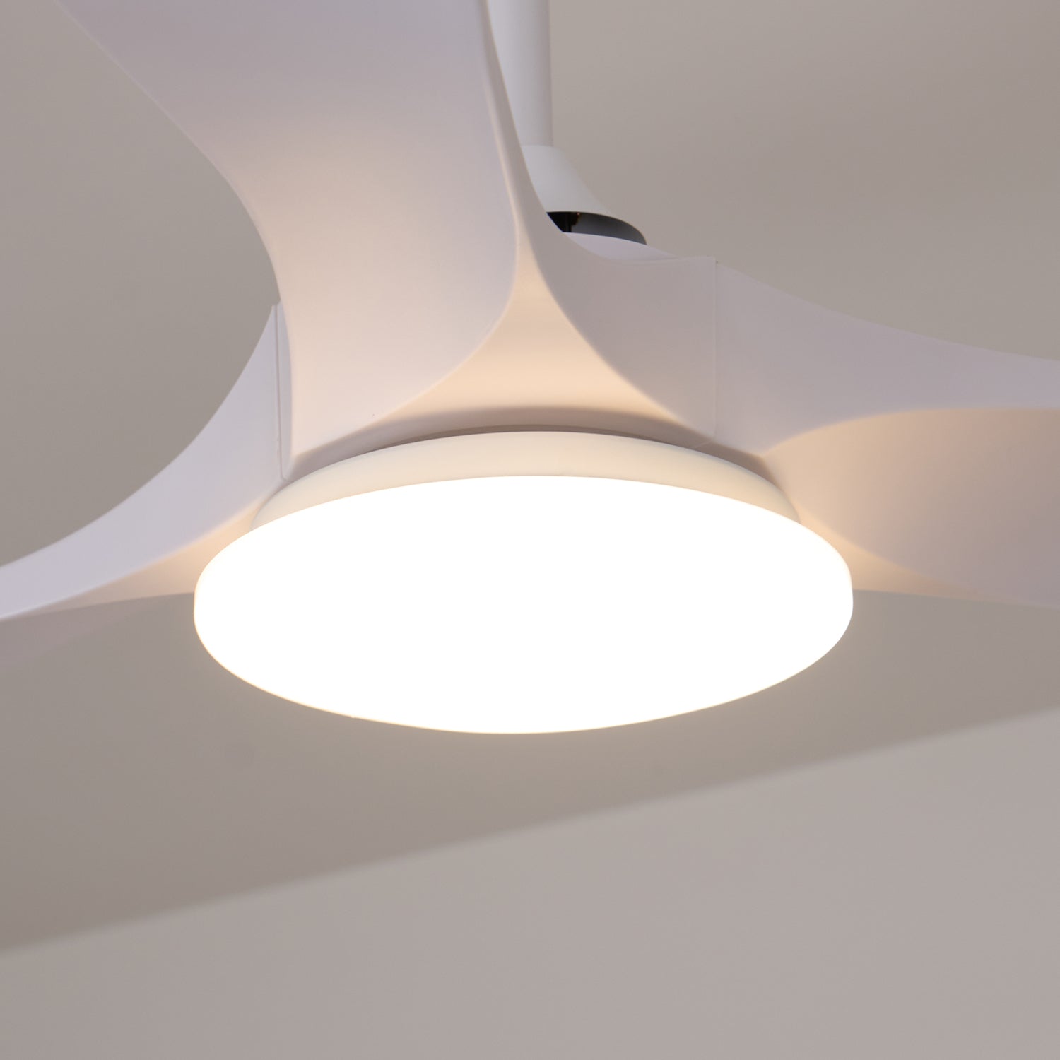 Ventilador de techo Nacarea