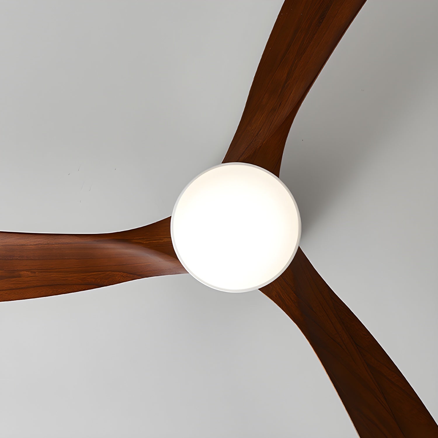 Ventilador de techo LED de madera Looma