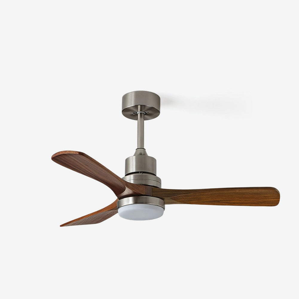 Orren Ceiling Fan Light