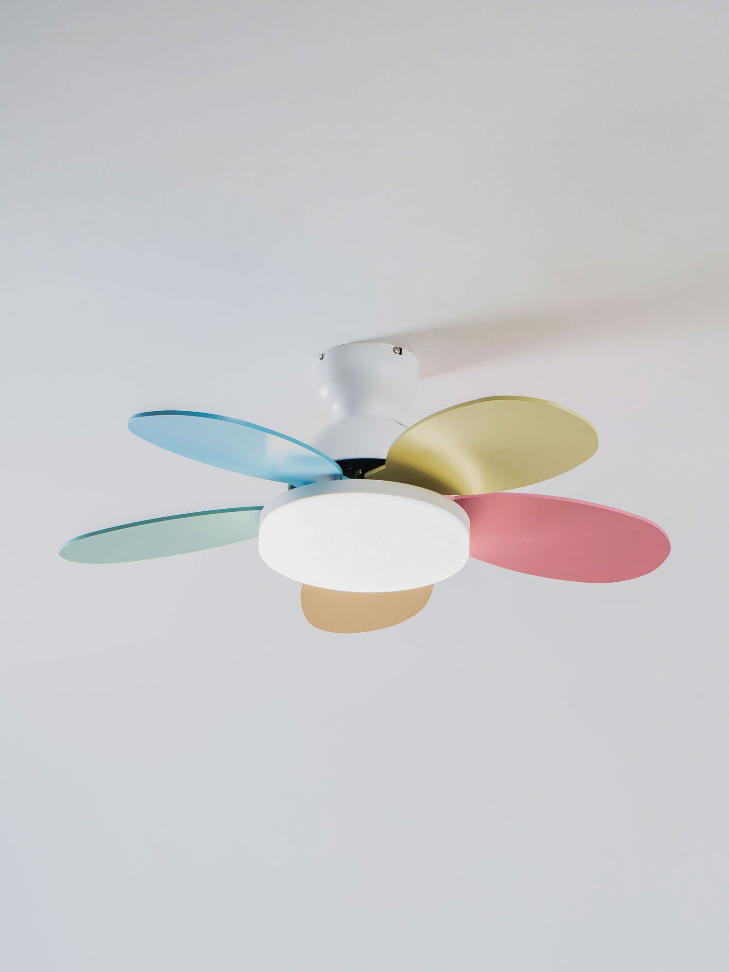 Ventilador de techo Coralero