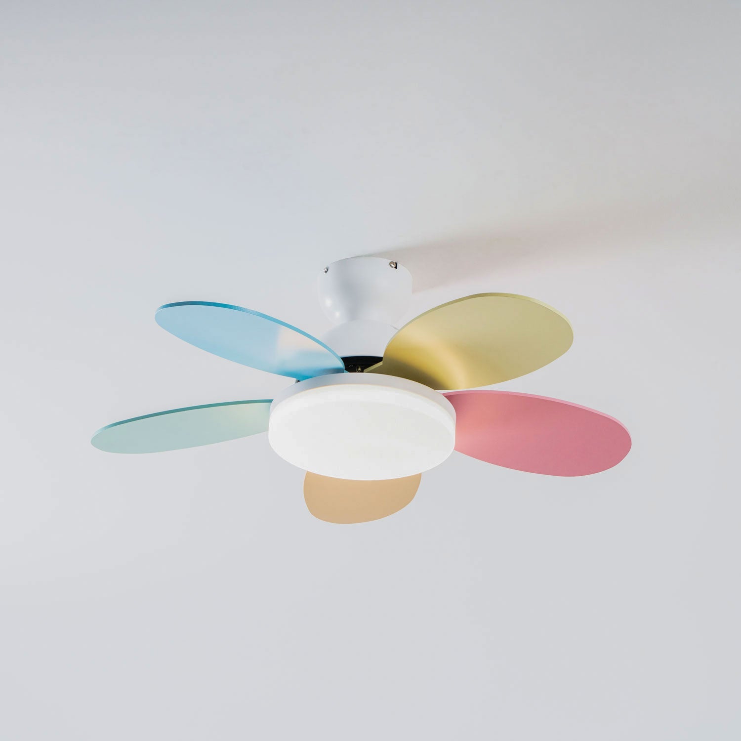 Ventilador de techo Coralero