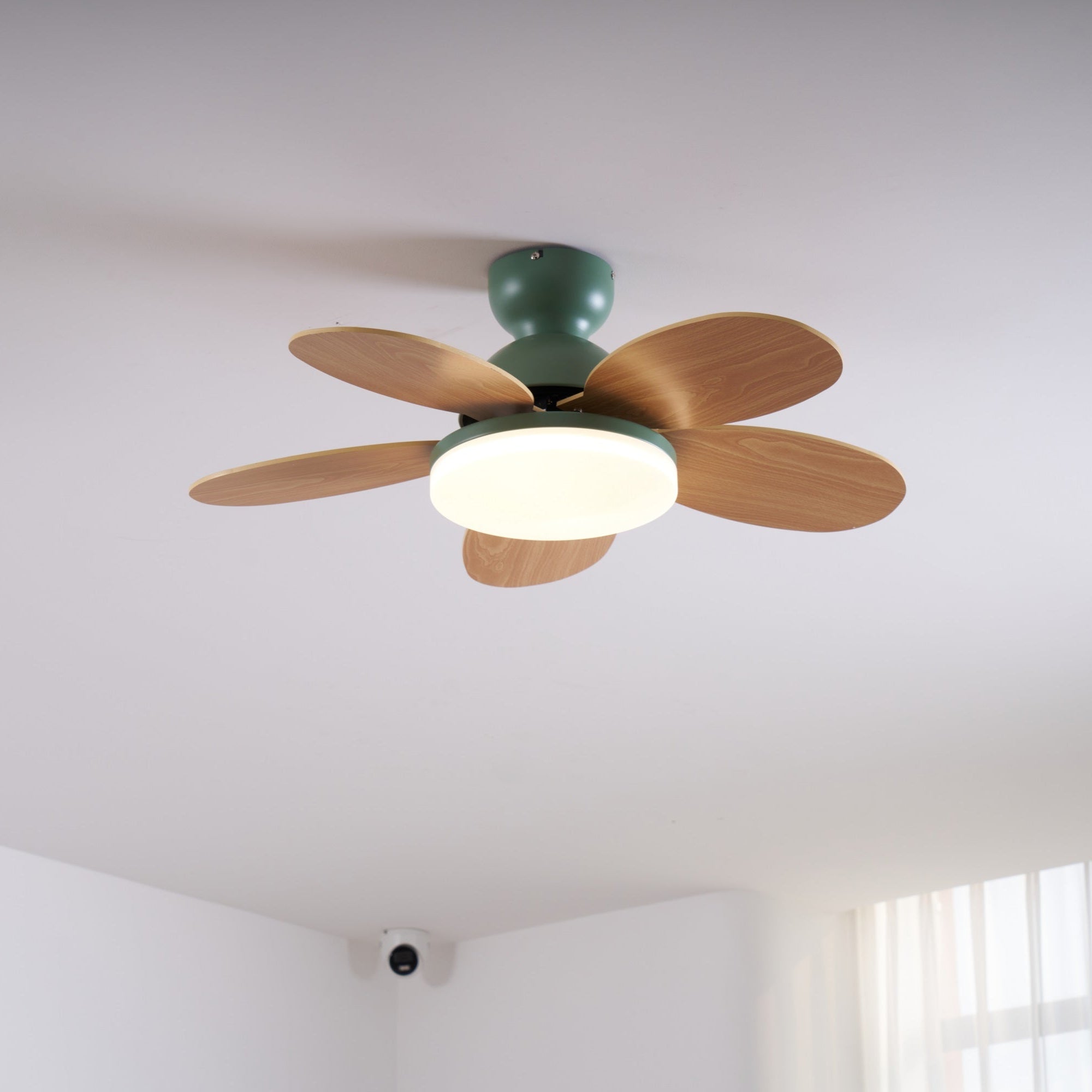Ventilador de techo Coralero