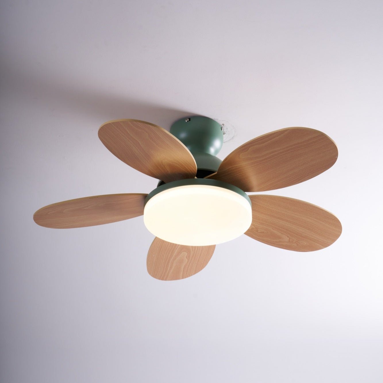 Ventilador de techo Coralero