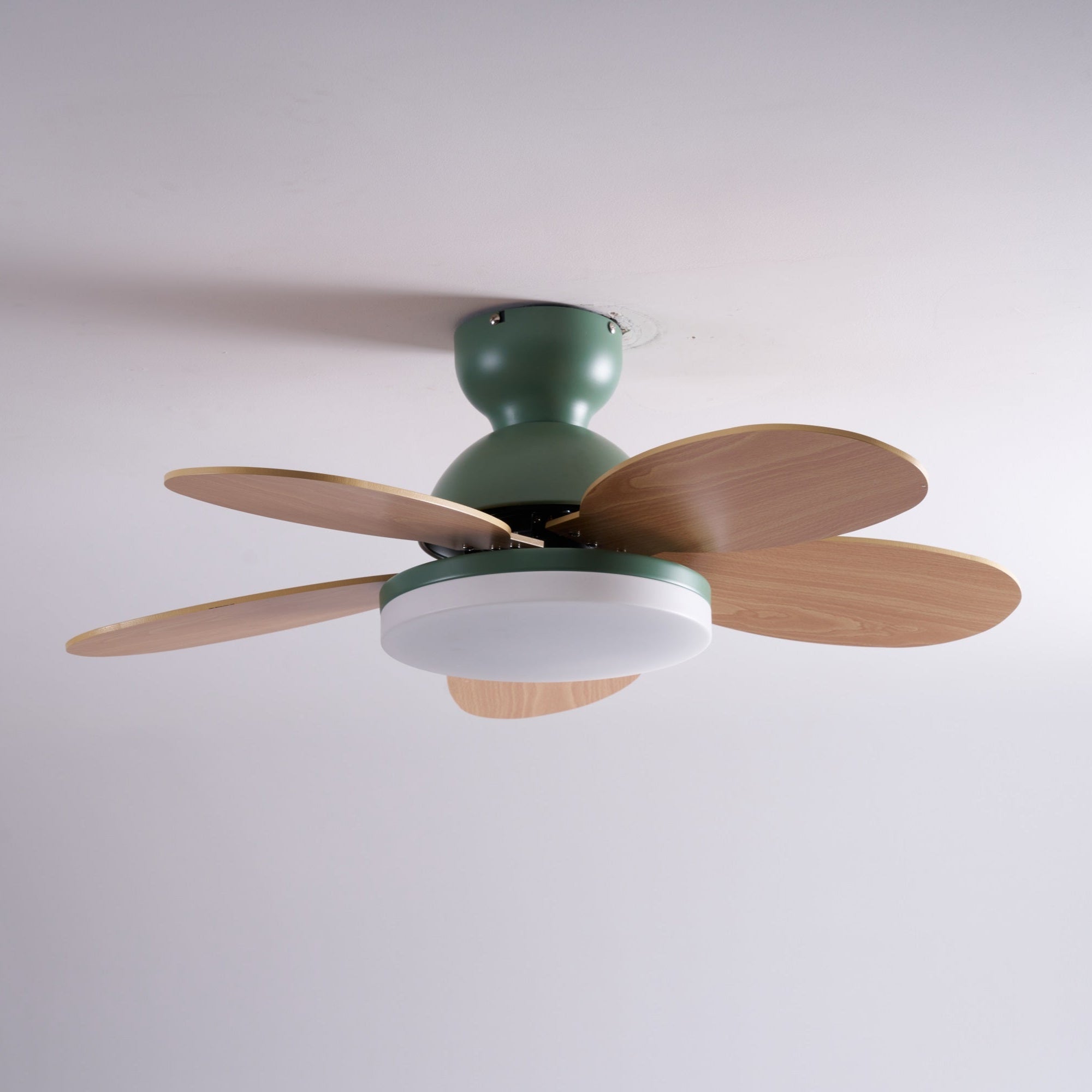 Ventilador de techo Coralero