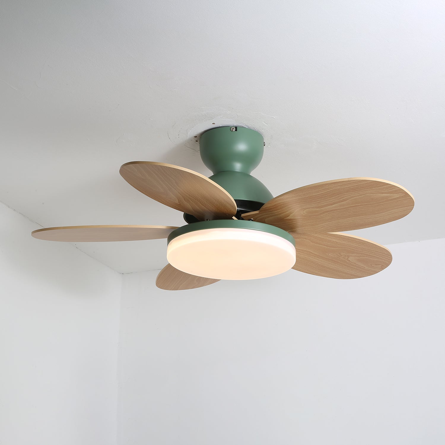 Ventilador de techo Coralero