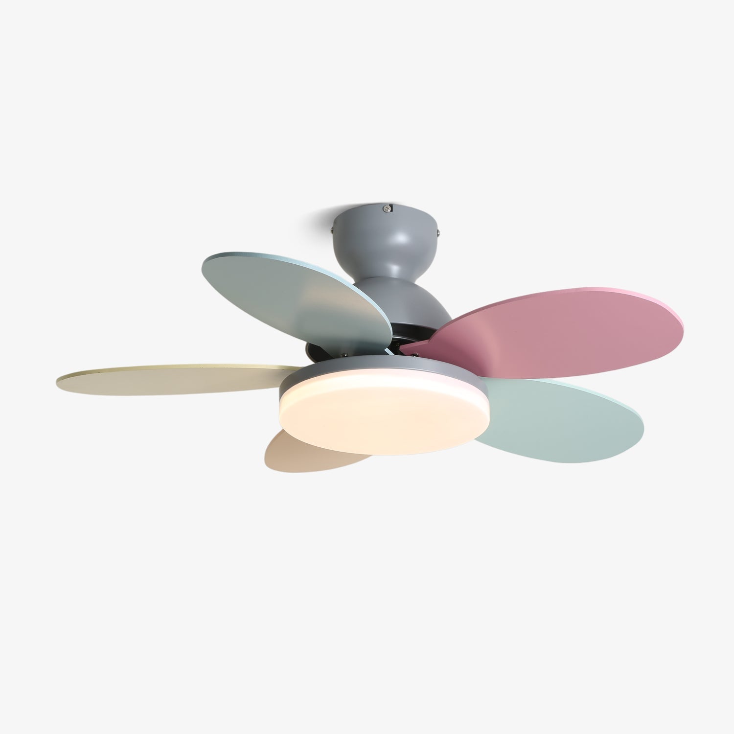 Ventilador de techo Coralero