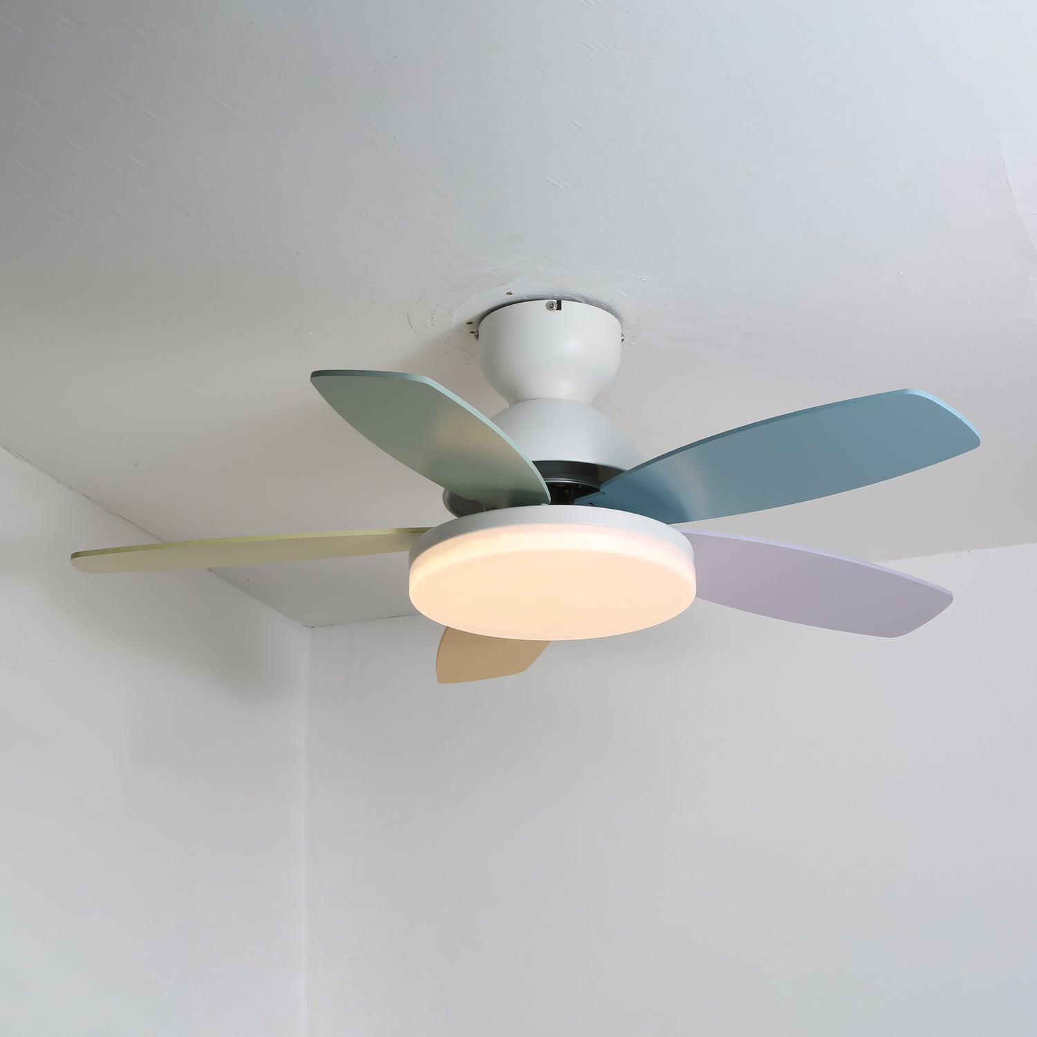 Ventilador de techo Coralero