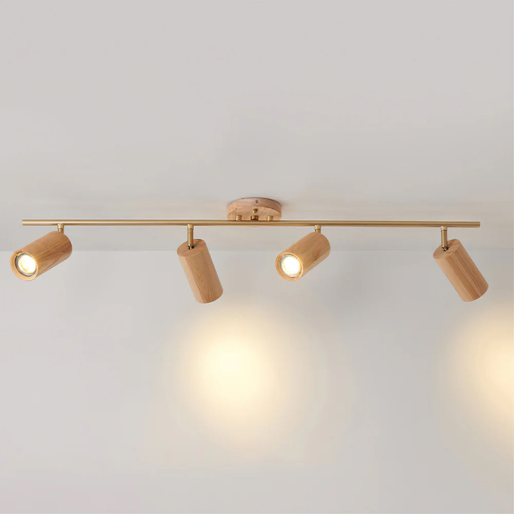Plafón orientable Levairo