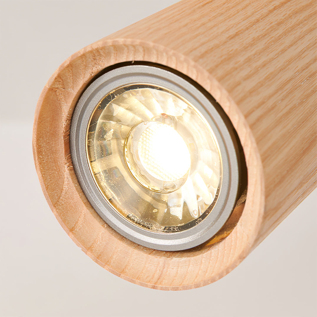 Plafón orientable Levairo