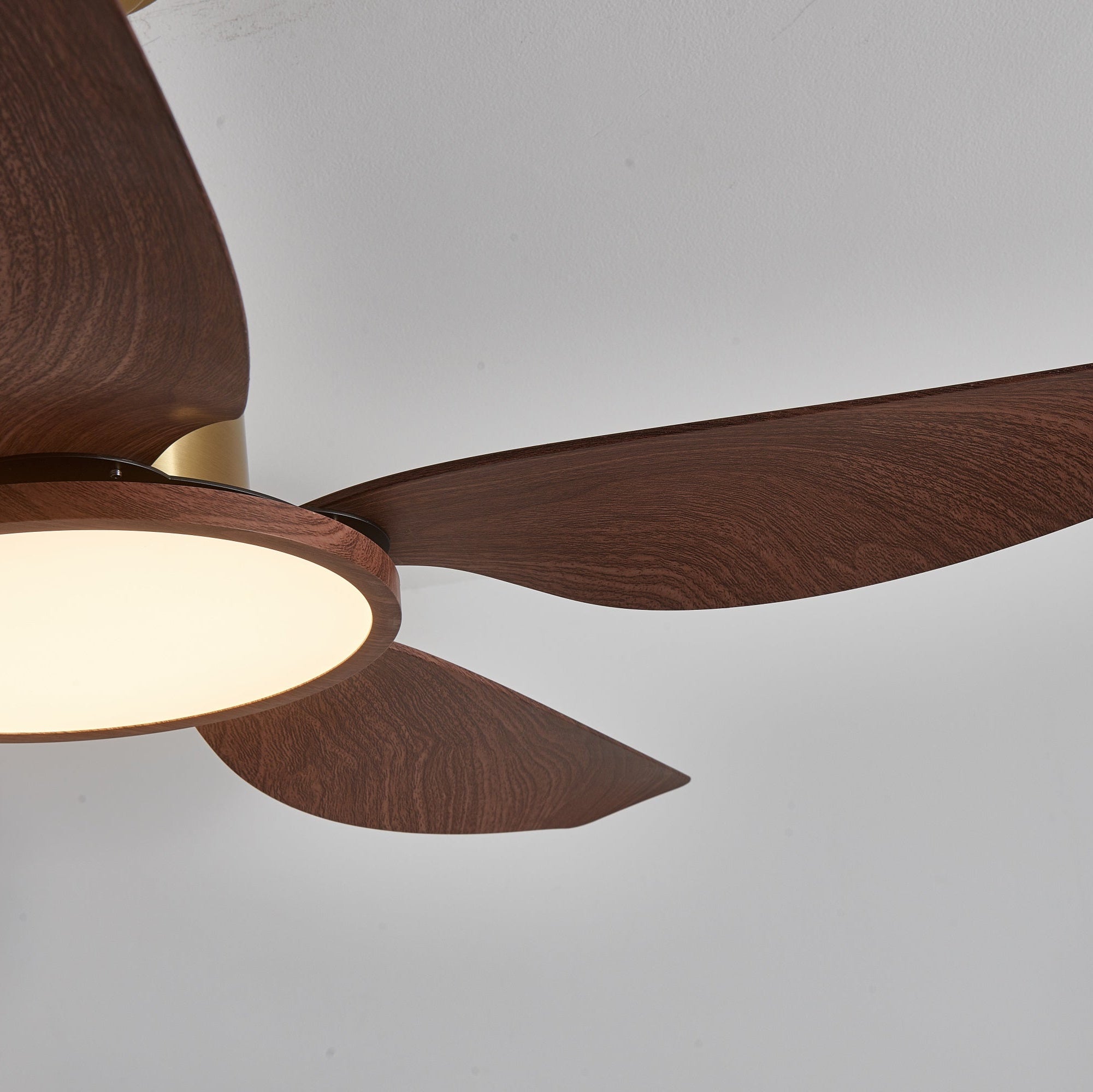 Ventilador de techo Mabel