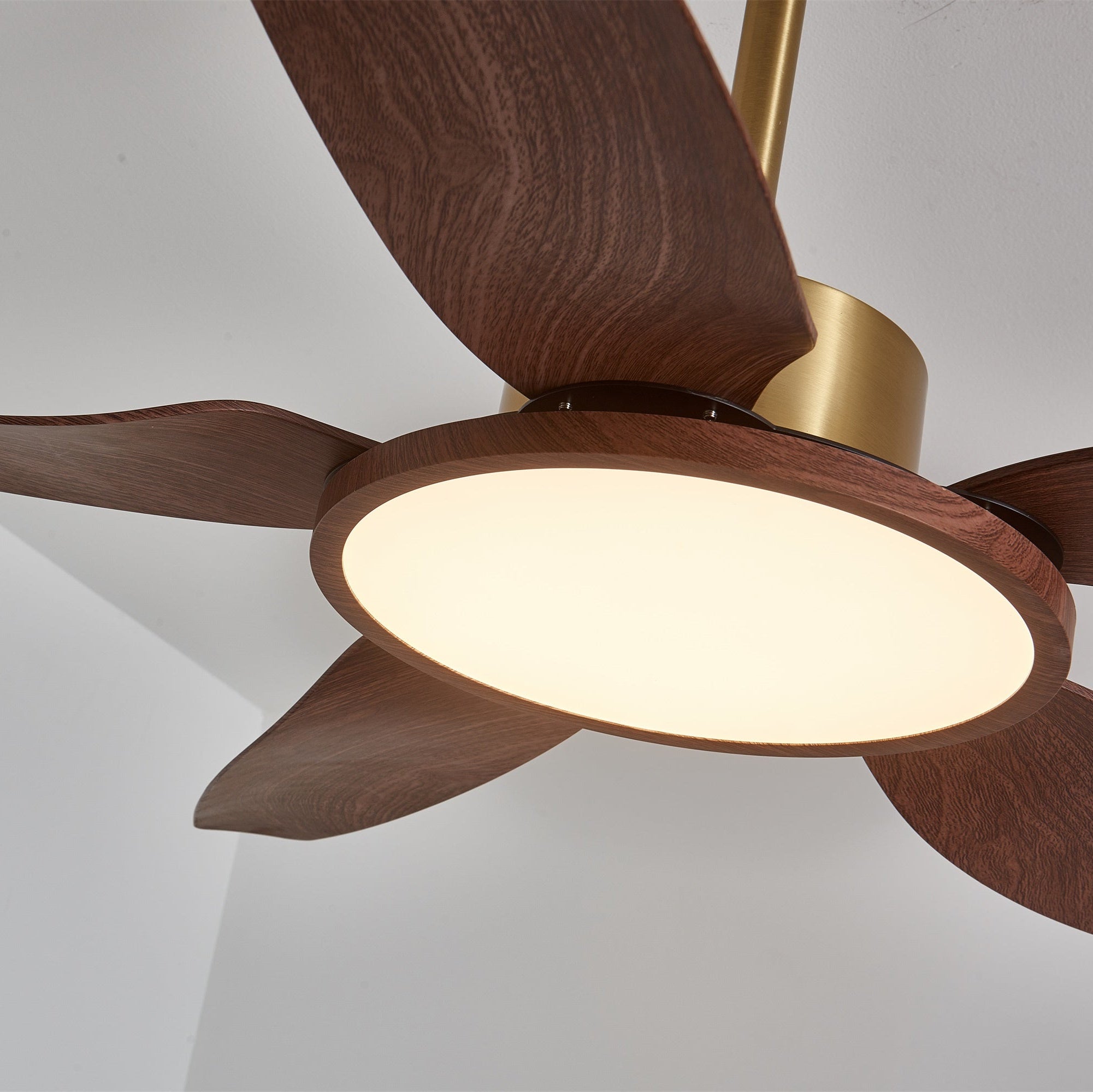 Ventilador de techo Mabel