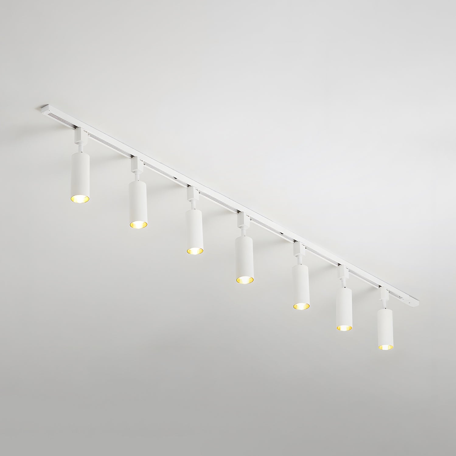 Plafón de carril Javieso